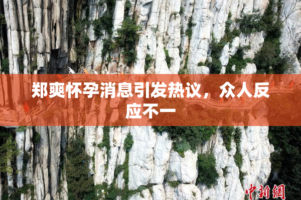 郑爽怀孕消息引发热议，众人反应不一