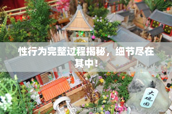 性行为完整过程揭秘，细节尽在其中！