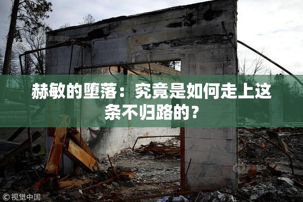 赫敏的堕落：究竟是如何走上这条不归路的？