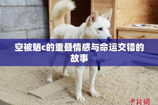 空被魈c的重叠情感与命运交错的故事