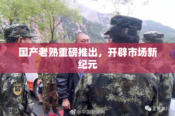 国产老熟重磅推出，开辟市场新纪元