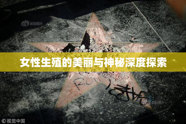 女性生殖的美丽与神秘深度探索