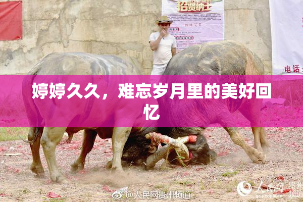 婷婷久久，难忘岁月里的美好回忆