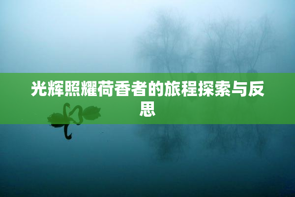 光辉照耀荷香者的旅程探索与反思