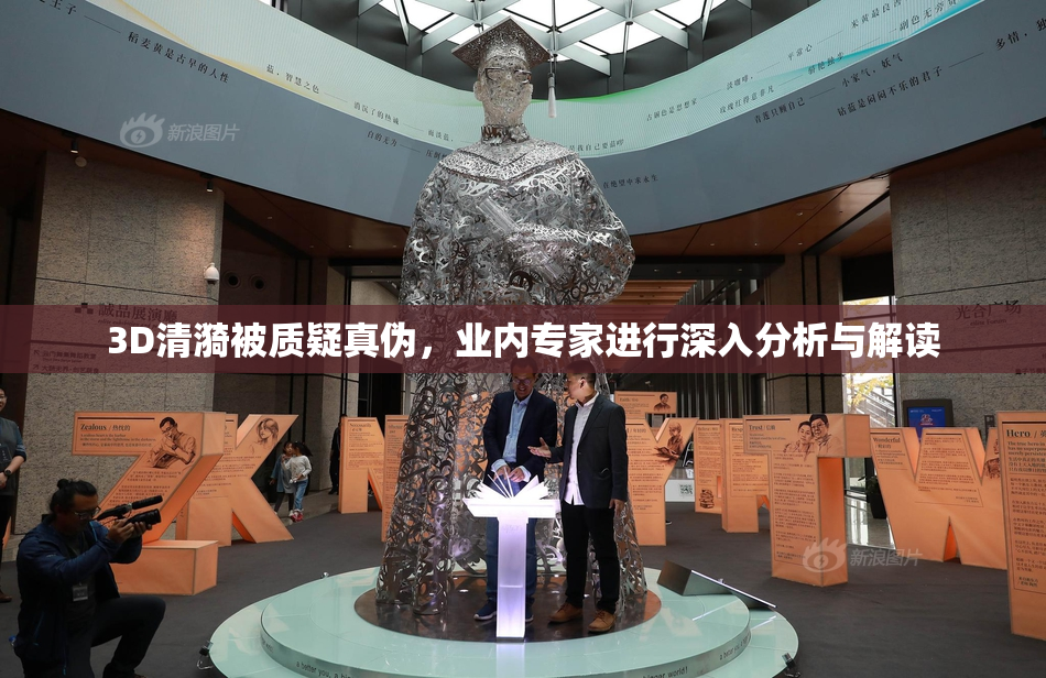 3D清漪被质疑真伪，业内专家进行深入分析与解读