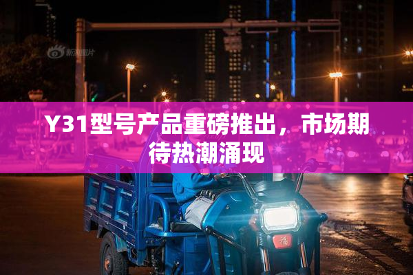 Y31型号产品重磅推出，市场期待热潮涌现