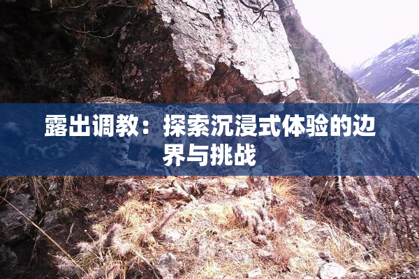 露出调教：探索沉浸式体验的边界与挑战