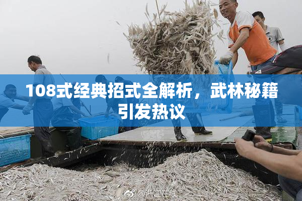 108式经典招式全解析，武林秘籍引发热议