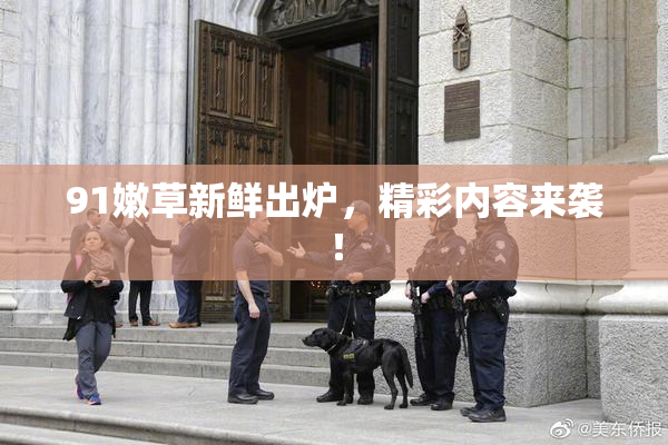 91嫩草新鲜出炉，精彩内容来袭！