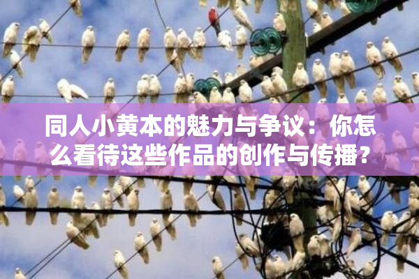 同人小黄本的魅力与争议：你怎么看待这些作品的创作与传播？