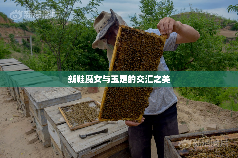 新鞋魔女与玉足的交汇之美