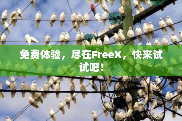 免费体验，尽在FreeX，快来试试吧！