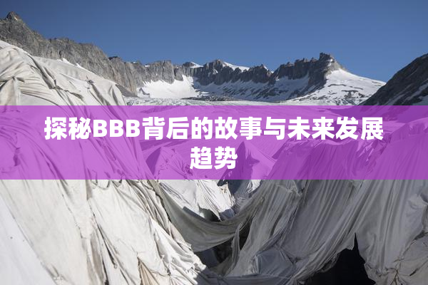 探秘BBB背后的故事与未来发展趋势