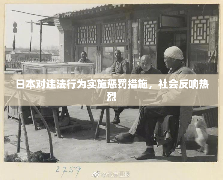 日本对违法行为实施惩罚措施，社会反响热烈