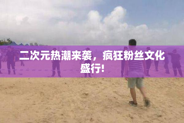 二次元热潮来袭，疯狂粉丝文化盛行!