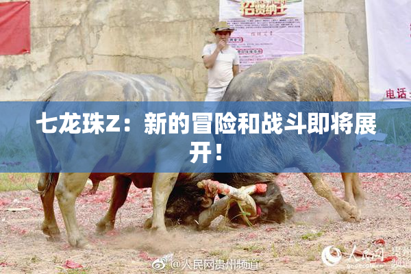 七龙珠Z：新的冒险和战斗即将展开！