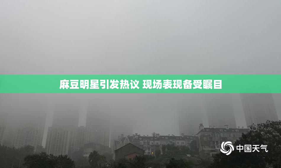 麻豆明星引发热议 现场表现备受瞩目