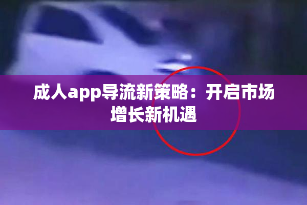 成人app导流新策略：开启市场增长新机遇