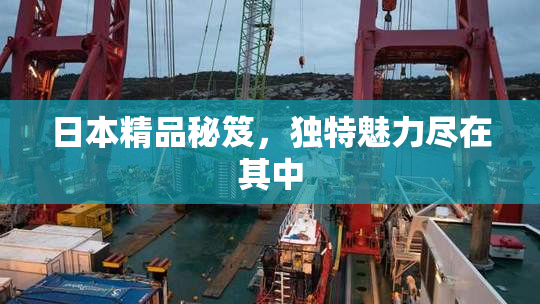 日本精品秘笈，独特魅力尽在其中