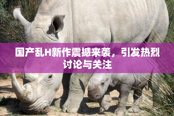 国产乱H新作震撼来袭，引发热烈讨论与关注