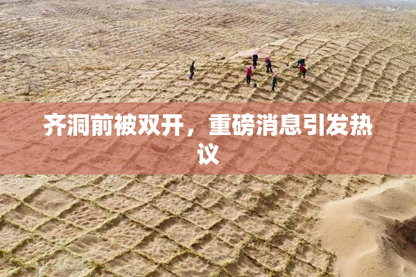 齐洞前被双开，重磅消息引发热议