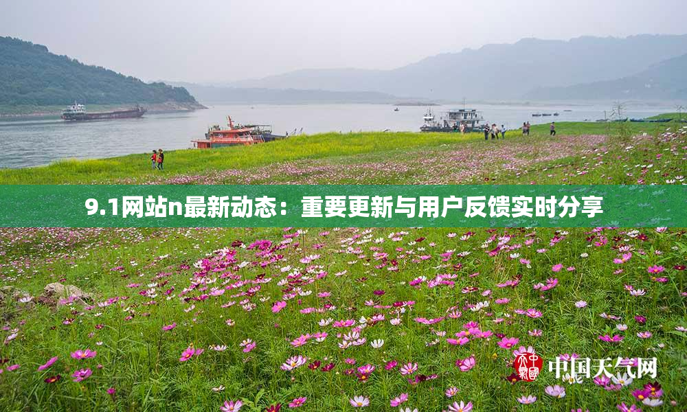 9.1网站n最新动态：重要更新与用户反馈实时分享