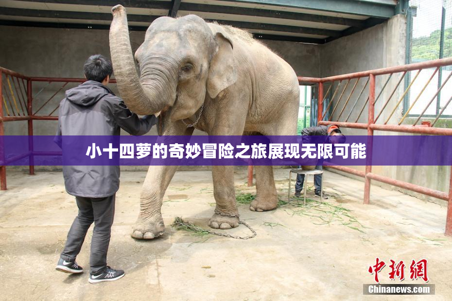 小十四萝的奇妙冒险之旅展现无限可能