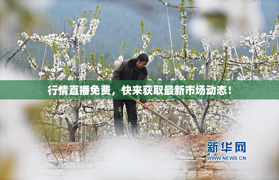 行情直播免费，快来获取最新市场动态！