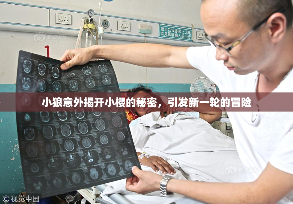 小狼意外揭开小樱的秘密，引发新一轮的冒险