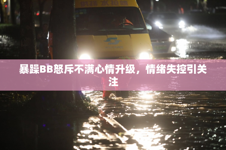 暴躁BB怒斥不满心情升级，情绪失控引关注