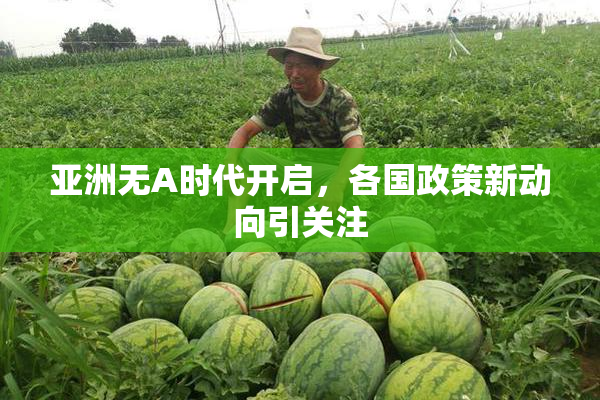 亚洲无A时代开启，各国政策新动向引关注