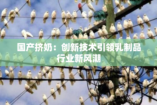 国产挤奶：创新技术引领乳制品行业新风潮