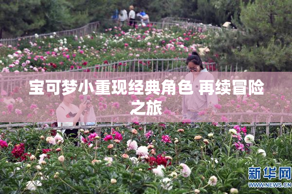 宝可梦小重现经典角色 再续冒险之旅
