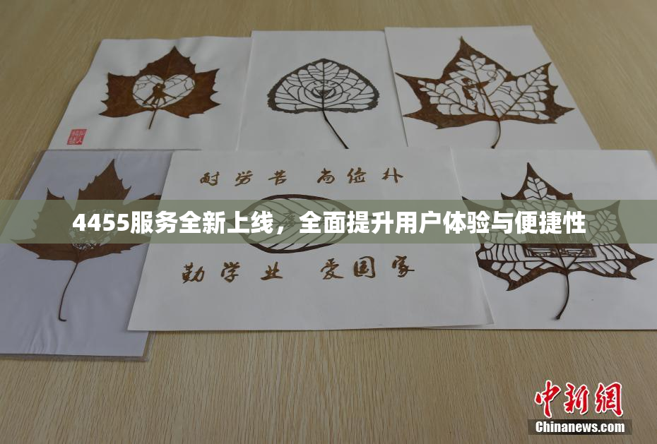 4455服务全新上线，全面提升用户体验与便捷性