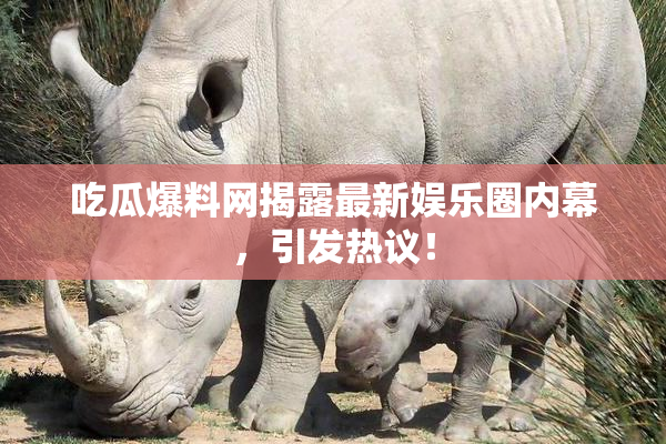 吃瓜爆料网揭露最新娱乐圈内幕，引发热议！