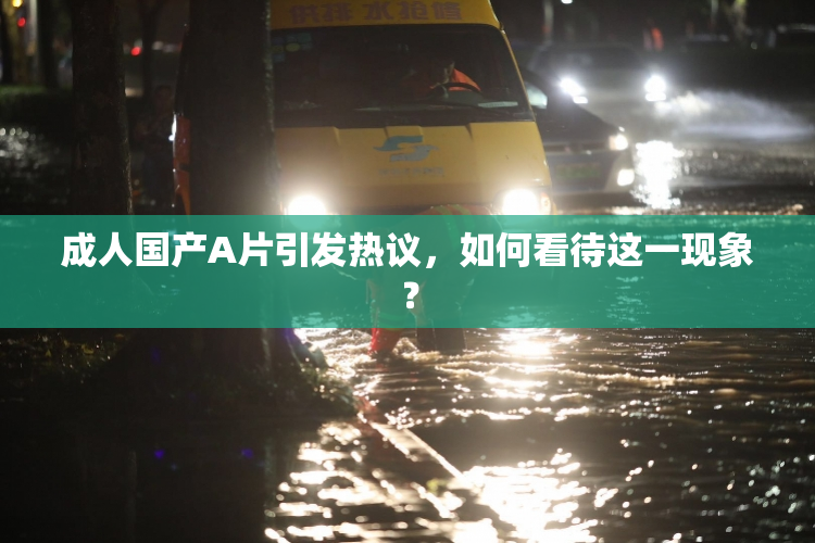 成人国产A片引发热议，如何看待这一现象？