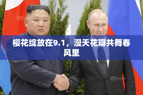 樱花绽放在9.1，漫天花瓣共舞春风里