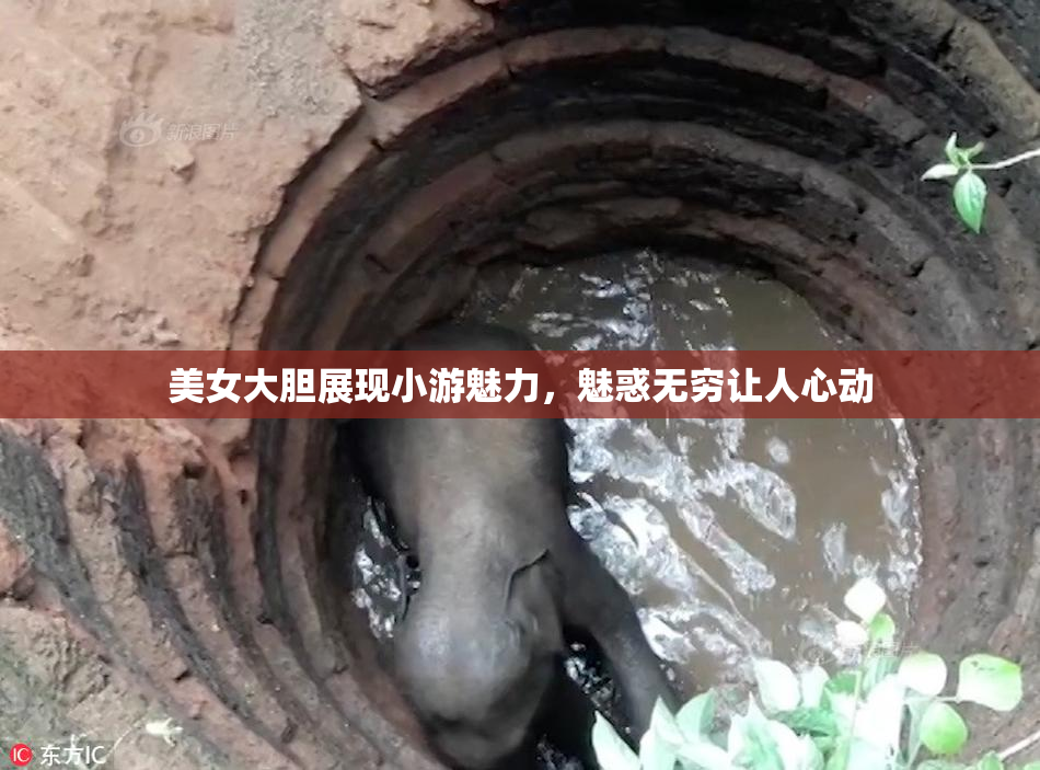 美女大胆展现小游魅力，魅惑无穷让人心动
