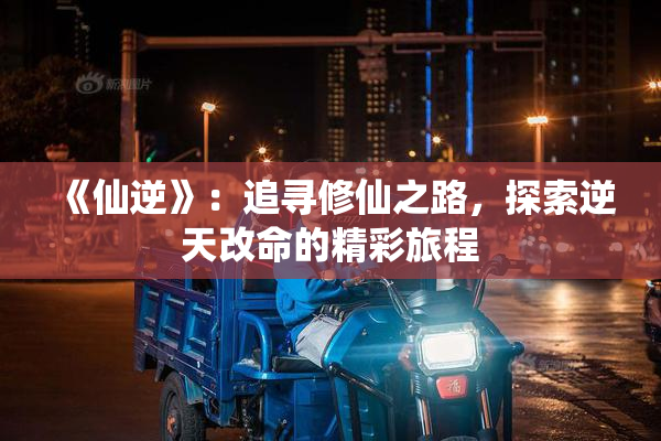 《仙逆》：追寻修仙之路，探索逆天改命的精彩旅程