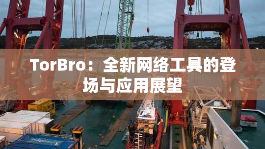 TorBro：全新网络工具的登场与应用展望