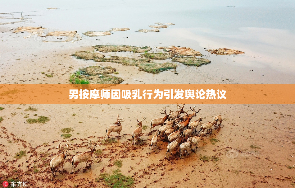 男按摩师因吸乳行为引发舆论热议
