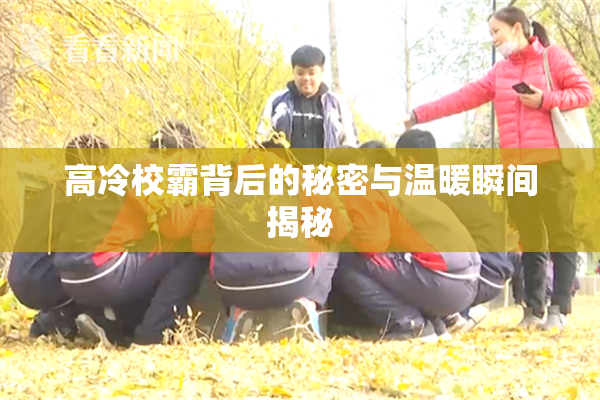 高冷校霸背后的秘密与温暖瞬间揭秘