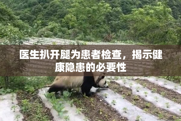 医生扒开腿为患者检查，揭示健康隐患的必要性