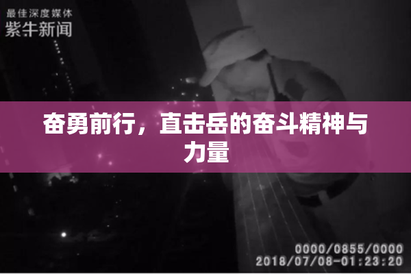 奋勇前行，直击岳的奋斗精神与力量