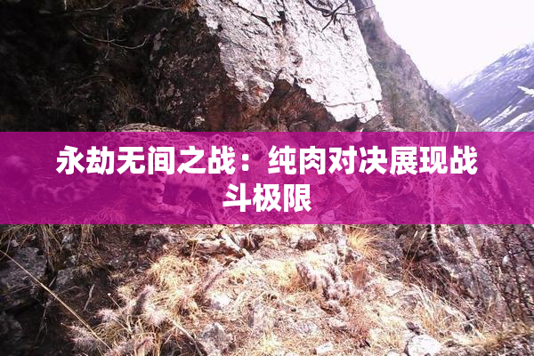 永劫无间之战：纯肉对决展现战斗极限