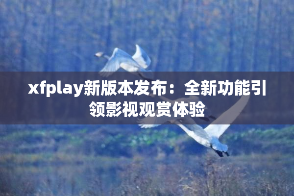 xfplay新版本发布：全新功能引领影视观赏体验