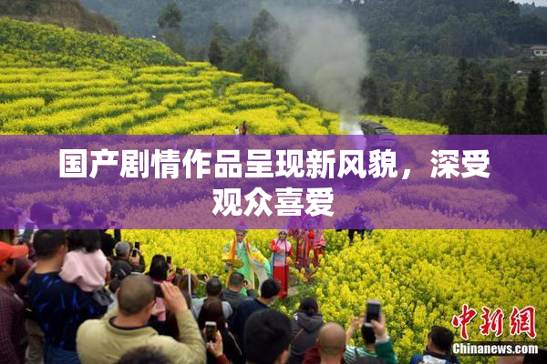 国产剧情作品呈现新风貌，深受观众喜爱