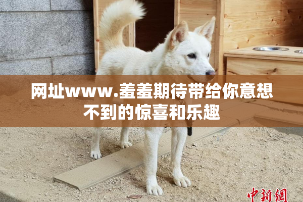 网址www.羞羞期待带给你意想不到的惊喜和乐趣