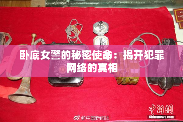 卧底女警的秘密使命：揭开犯罪网络的真相