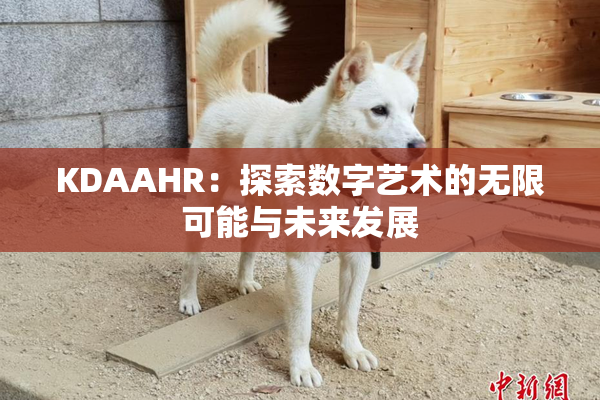 KDAAHR：探索数字艺术的无限可能与未来发展